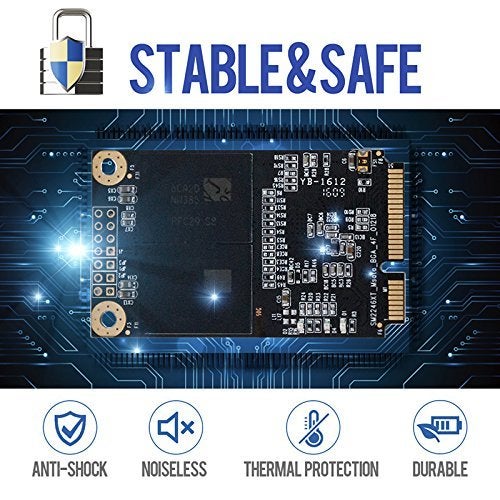 DogFish قرص صلب داخلي SSD MSATA سعة 64 جيجابايت من شيرك سبيد عالي الأداء لأجهزة الكمبيوتر المكتبية والمحمولة SATA III 6Gb/s يشمل SSD (64GB, MSATA) - Image 4