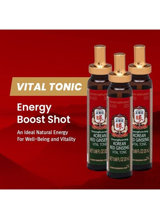 CheongKwanJang - [Korean Red Ginseng Vital Tonic Gift Set Energy Shot Panax Ginseng Giftset for Immune System Booster and Wellness Recovery, Natural Herbs, Vitamins and Minerals - 10 Bottles - Image 1
