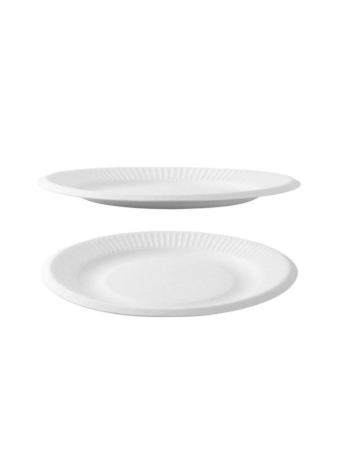 Spa Stix Spa Stix 6" Disposable Paper Plate - Pack of 100ct (SS-Paper Plate 6-100),White  - Image 3