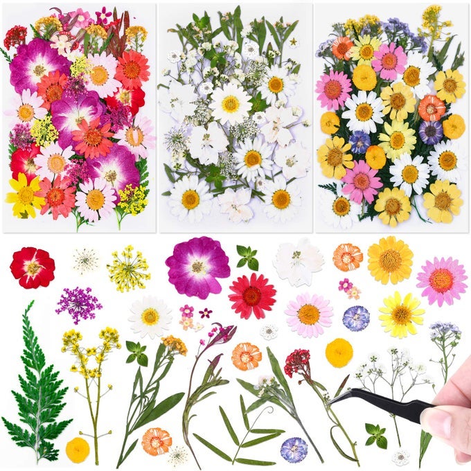 120 PCS DRIED FLOWERS FOR RESIN MOLDS NATURAL PRESSED FLOWERS LEAVES HERBS KIT WITH TWEEZERS FOR DIY ART CRAFTS CANDLEJEWELRY MAKING SCRAPBOOK EMBELLISHMENT NAIL SILICONE MOLDS FLORAL DECORS