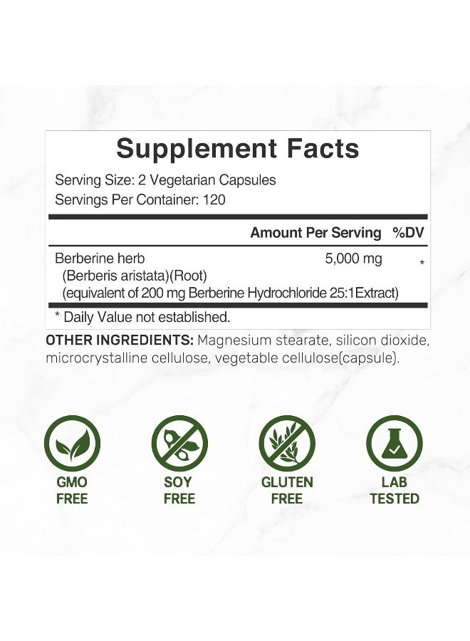 DEAL SUPPLEMENT مكمل بيربرين ماكس، 5,000 ملغ لكل حصة، 240 كبسولة نباتية – 97% بيربرين Hcl نقي – مستخلص جذر 25:1 – مناسب للنباتيين، غير معدل وراثيًا - Image 2