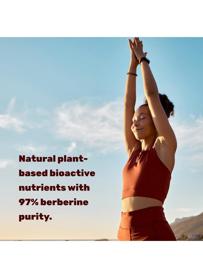 DEAL SUPPLEMENT مكمل بيربرين ماكس، 5,000 ملغ لكل حصة، 240 كبسولة نباتية – 97% بيربرين Hcl نقي – مستخلص جذر 25:1 – مناسب للنباتيين، غير معدل وراثيًا - Image 4