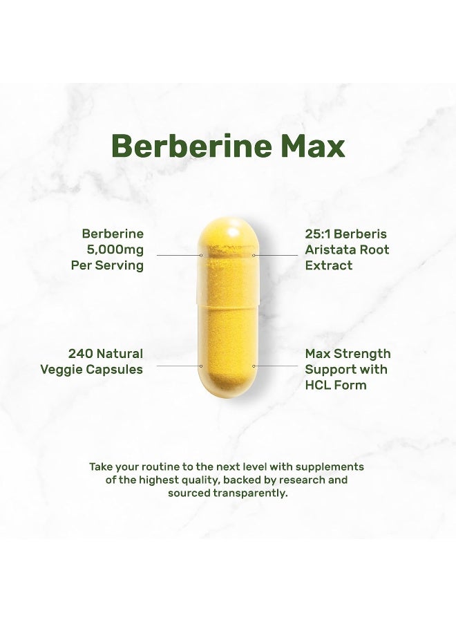 DEAL SUPPLEMENT مكمل بيربرين ماكس، 5,000 ملغ لكل حصة، 240 كبسولة نباتية – 97% بيربرين Hcl نقي – مستخلص جذر 25:1 – مناسب للنباتيين، غير معدل وراثيًا - Image 3