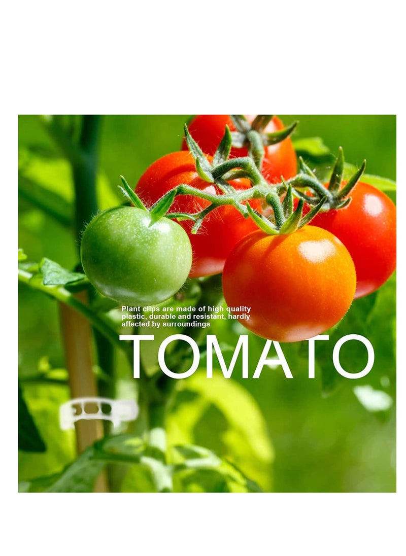 SYOSI 200 Pcs Plant Support Garden Clips Tomato Trellis Clip Tomato Vine Clips Help Vine Vegetables to Grow Upright and Make Plants Healthier  - Image 2