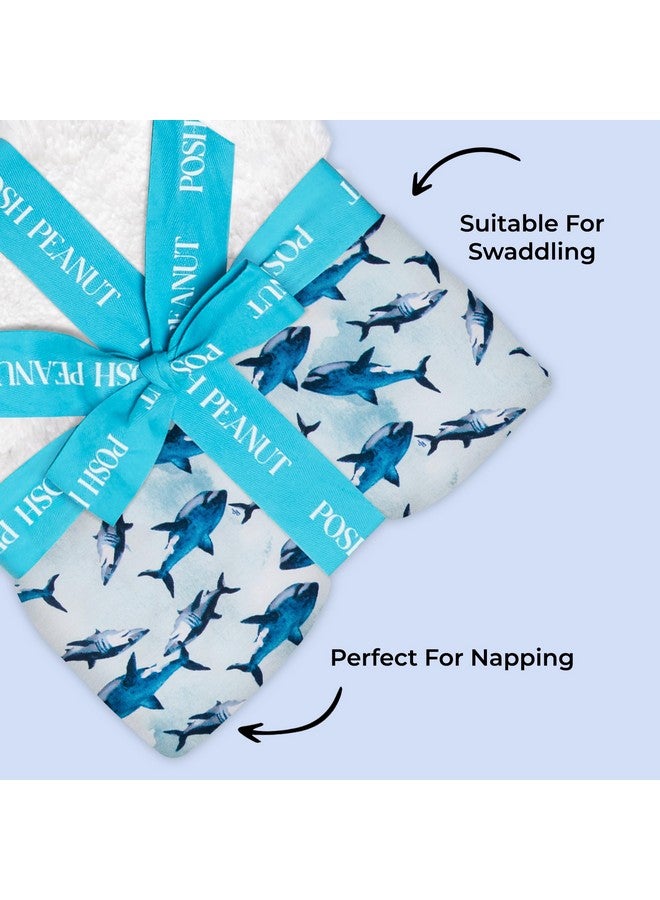 Posh Peanut Super Soft Baby Blankets for Boys, Girls & Newborns - Plush Patoo Stroller Blanket in Viscose from Bamboo (40" x 40") Sharks - Image 5