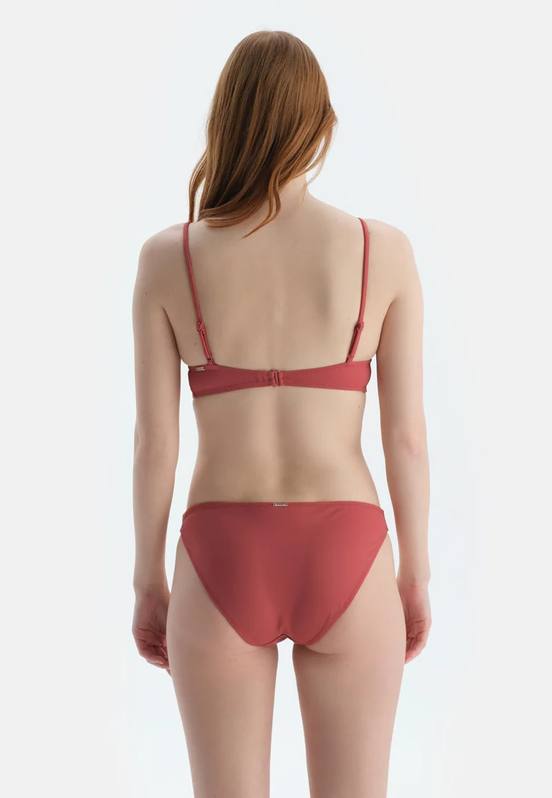 dagi Brown Bralette Bikini Top