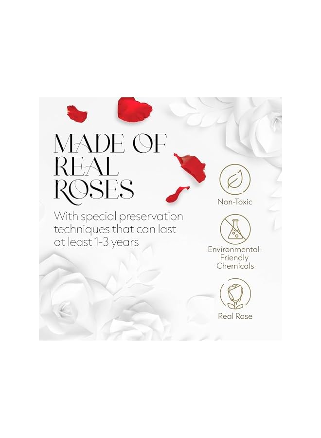 The Bros Single Forever Red Rose Box, Preserved Roses in a Box, Immortal Roses in a Box That Last A Year, Eternal Rose Preserved Flowers for Delivery Prime Mothers & Valentines Day - Image 5