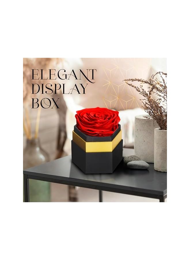 The Bros Single Forever Red Rose Box, Preserved Roses in a Box, Immortal Roses in a Box That Last A Year, Eternal Rose Preserved Flowers for Delivery Prime Mothers & Valentines Day - Image 4