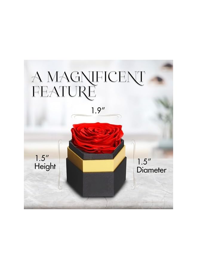 The Bros Single Forever Red Rose Box, Preserved Roses in a Box, Immortal Roses in a Box That Last A Year, Eternal Rose Preserved Flowers for Delivery Prime Mothers & Valentines Day - Image 3