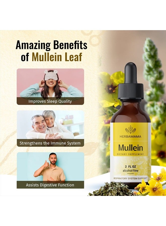 HERBAMAMA Mullein Leaf Tincture - Lung Cleanse - Vegan Lung Detox - Respiratory Health and Immune Support Drops - Natural Supplement Liquid Extract 2 fl.oz. - Image 4