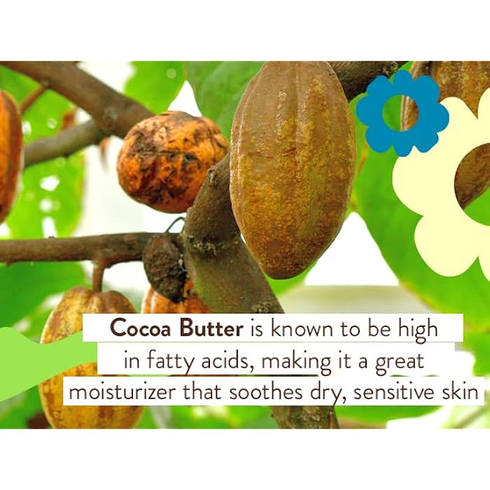 BABO Botanicals Super Shield SPF 50 Stick Sunscreen - 70% Organic Ingredients - Natural Zinc Oxide - for All Ages - NSF & Made Safe Certified - EWG Verified - Water Resistant - Fragrance-Free - Image 3