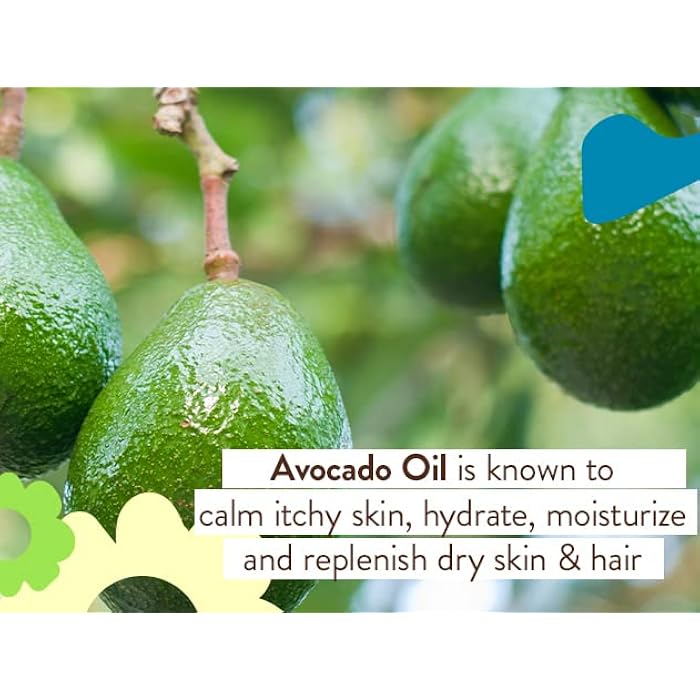 BABO Botanicals Super Shield SPF 50 Stick Sunscreen - 70% Organic Ingredients - Natural Zinc Oxide - for All Ages - NSF & Made Safe Certified - EWG Verified - Water Resistant - Fragrance-Free - Image 5