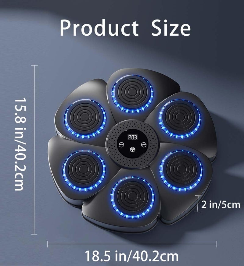 Earwig Music Boxing Machine, Smart Music Boxing Machine Bluetooth, 9 Modes and 18 Speeds Musical Boxing Wall Mounted with Boxing Gloves,Punching Machine Game for Kids Adults Home Workout (EW-03) - Image 2
