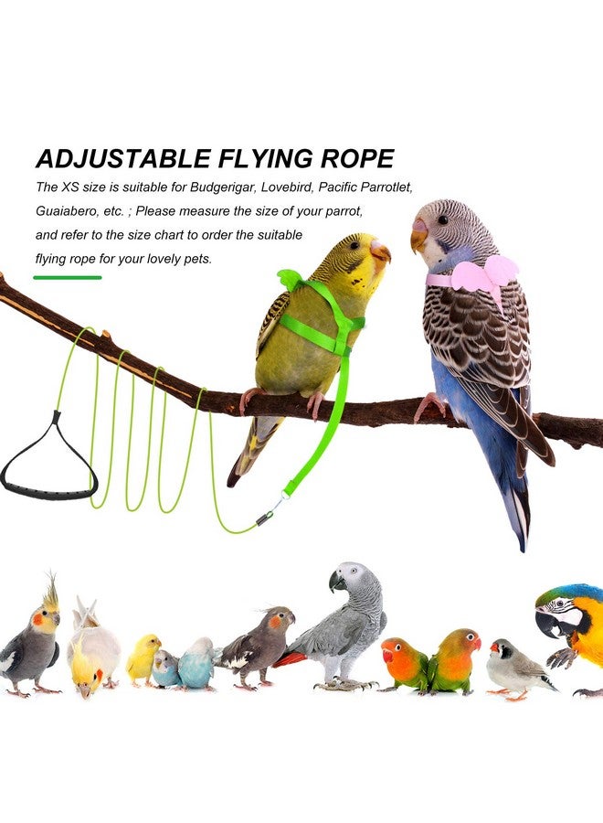 Shappy 4 Pieces Pet Parrot Bird Harness Leash Adjustable Bird Flying Harness Traction Rope with Cute for Parrots Pigeons Budgerigar Lovebird Cockatiel Mynah Outdoor Training Toy (Green, Pink,XS) - Image 5