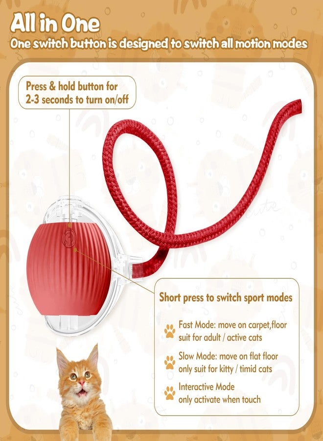 Eiruseed Interactive Cat Ball Toys for Indoor Cats, Upgraded Automatic Cat Toys for Bored Indoor Adult Kitty, Peppy Pet Ball for Cats, 360°Smart Rolling Kitty Balls Toy (Red) - Image 2