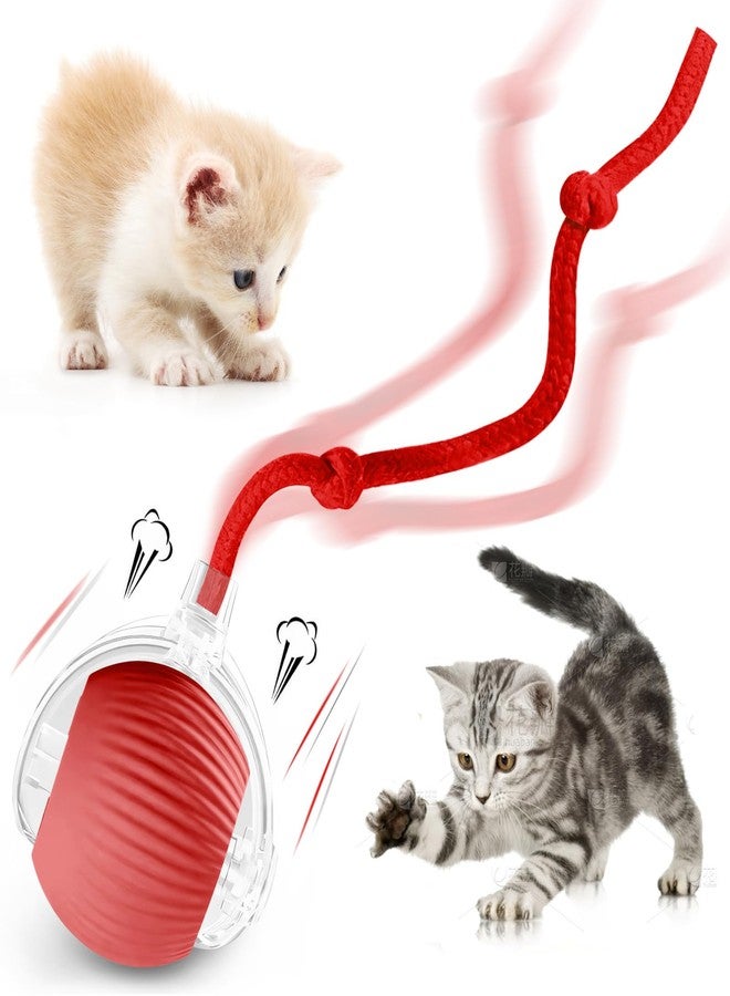 Eiruseed Interactive Cat Ball Toys for Indoor Cats, Upgraded Automatic Cat Toys for Bored Indoor Adult Kitty, Peppy Pet Ball for Cats, 360°Smart Rolling Kitty Balls Toy (Red) - Image 1