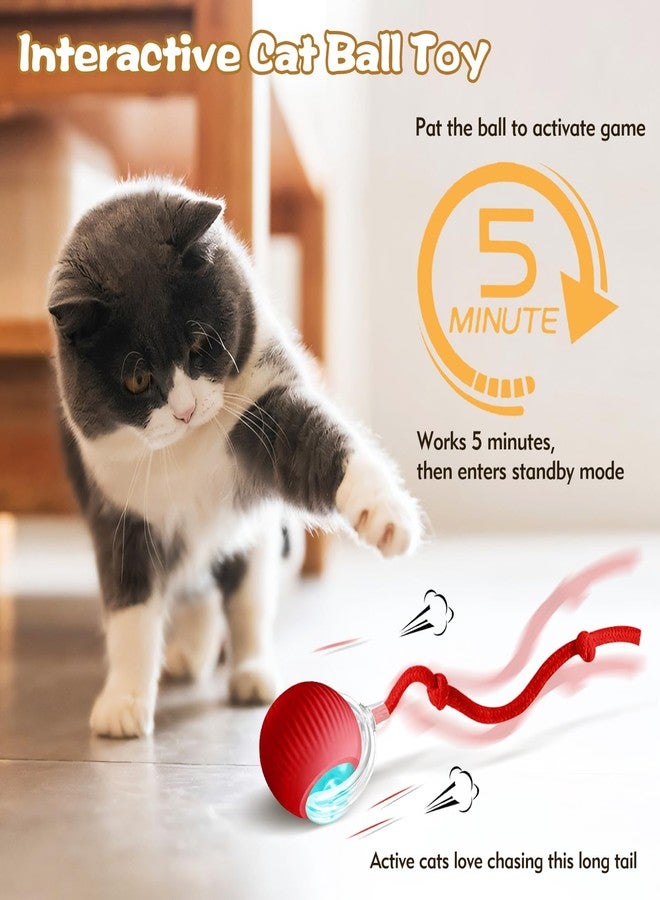 Eiruseed Interactive Cat Ball Toys for Indoor Cats, Upgraded Automatic Cat Toys for Bored Indoor Adult Kitty, Peppy Pet Ball for Cats, 360°Smart Rolling Kitty Balls Toy (Red) - Image 3