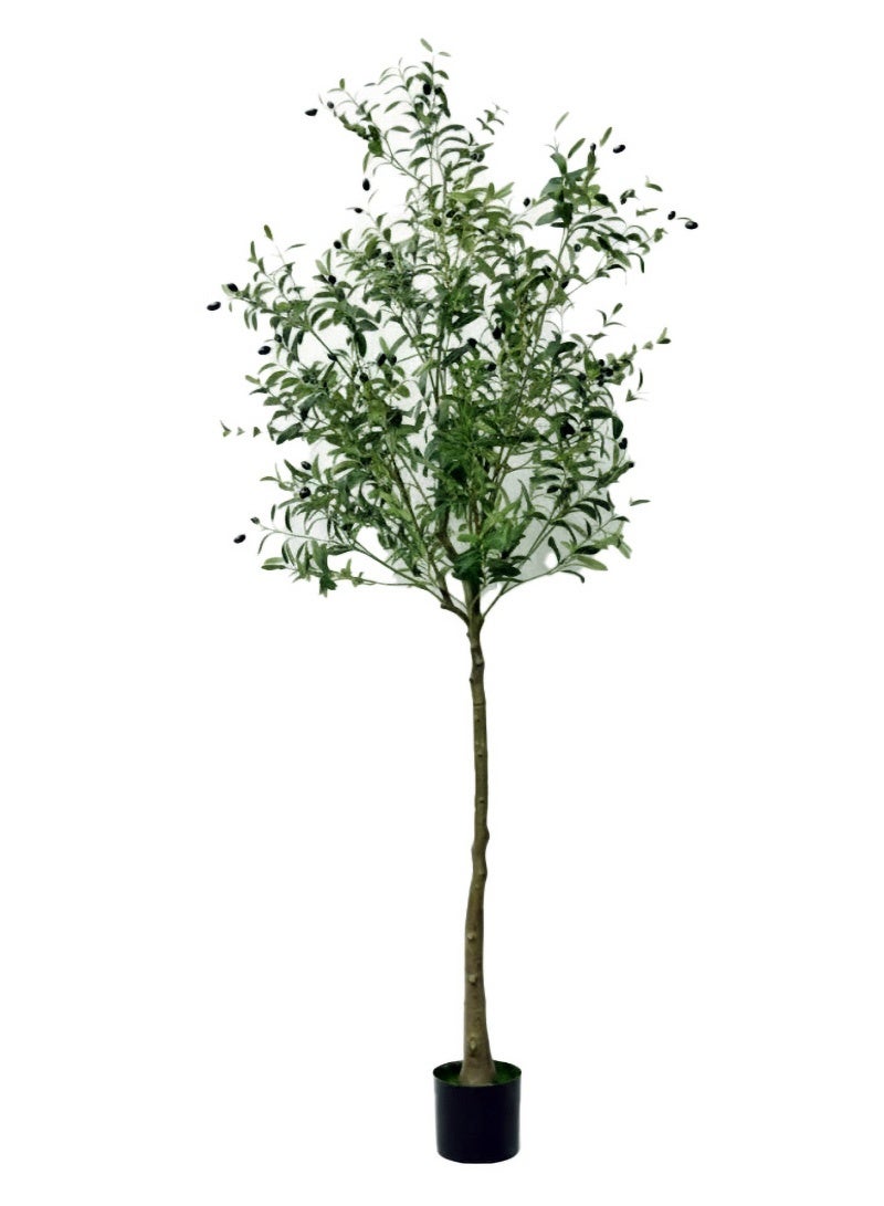 إيه جي دي شجرة زيتون صناعية 205سم للأماكن الداخلية، نباتات زينة مع فروع وأوراق واقعية نابضة بالحياة - Image 4