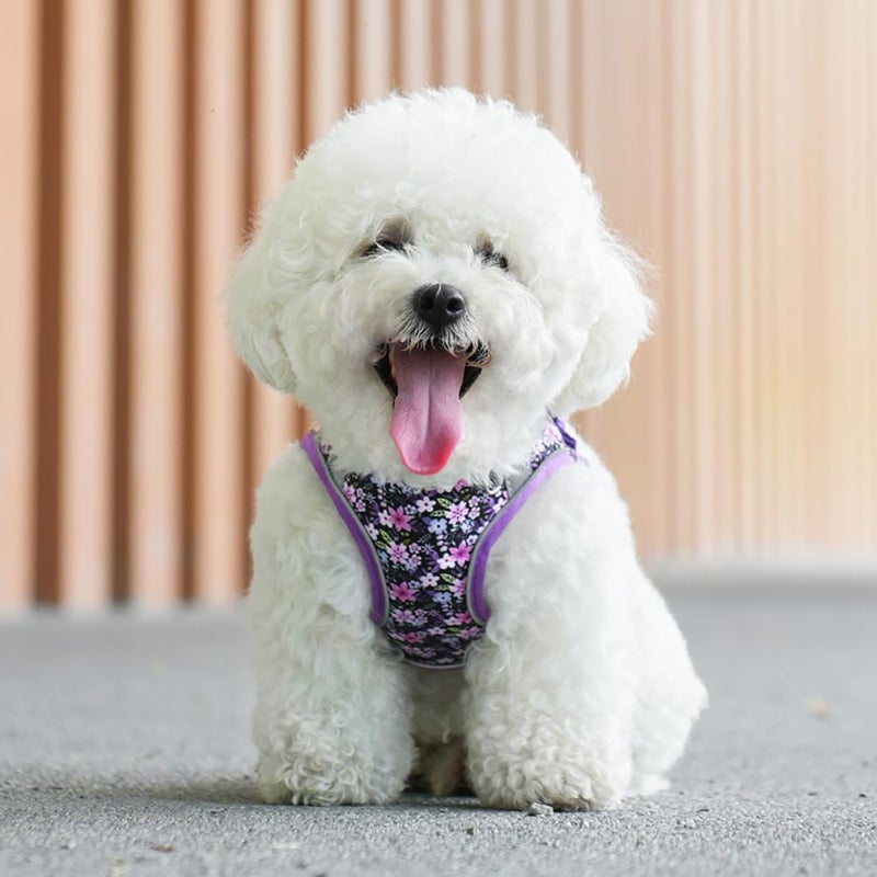 Flymind Step in Dog Harness and Leash Set, Flower Adjustable Easy Walk Puppy Harnesses, Soft Mesh Pet Vest Harness Small Size Dog Adjustable No Pull Dog Harness for Small Medium Dogs(Purple, S) - Image 5
