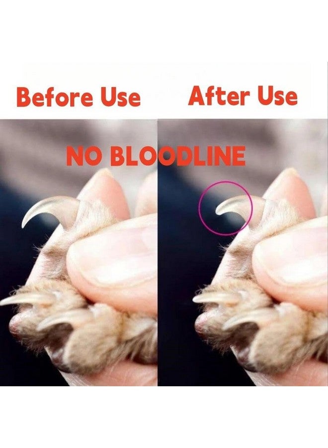 Generic Generic Quality Animal Tool pet Nail Clipper pet Grooming Stainless Steel Dog cat Nail Clippers pet Clipper, Black  - Image 2