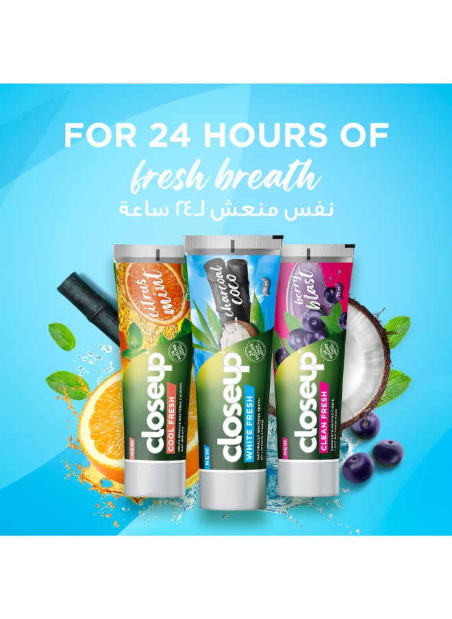 Close Up - Cool Fresh Toothpaste, Citrus Mint - Image 1