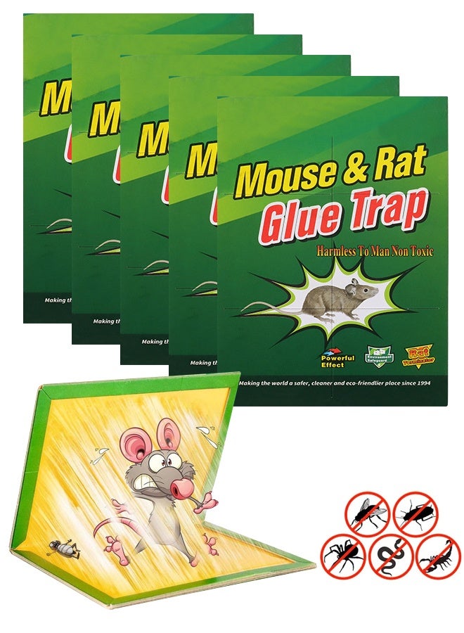 5 Pack Large Mouse Glue Traps with Enhanced Stickiness Glue Traps for Rat, Rodent and Household Traps Sticky Pad Board - Image 1