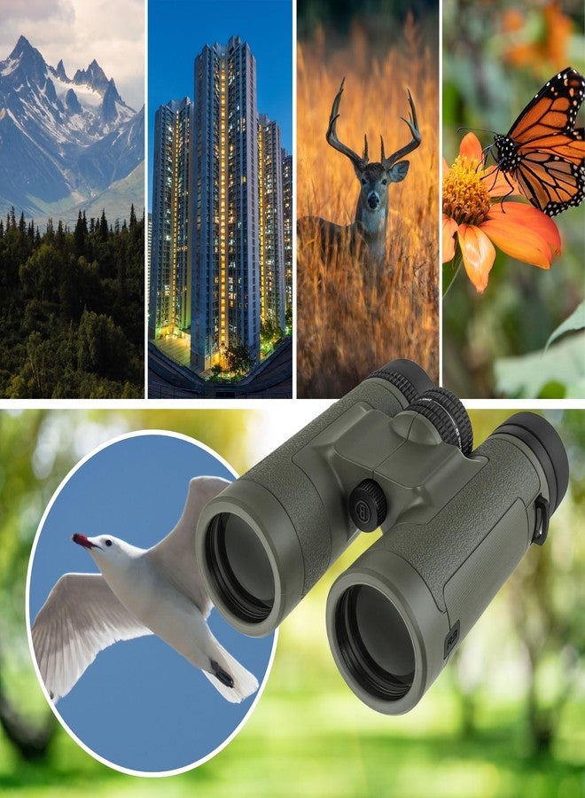 Bushnell R3 10x42 Binoculars with Vault Lite Bino Chest Harness, HD Optical System, Fully Multi-Coated Lenses, EXO Barrier, IPX7 Waterproof - Binoculars for Bird Watching and Wildlife Observation - Image 4