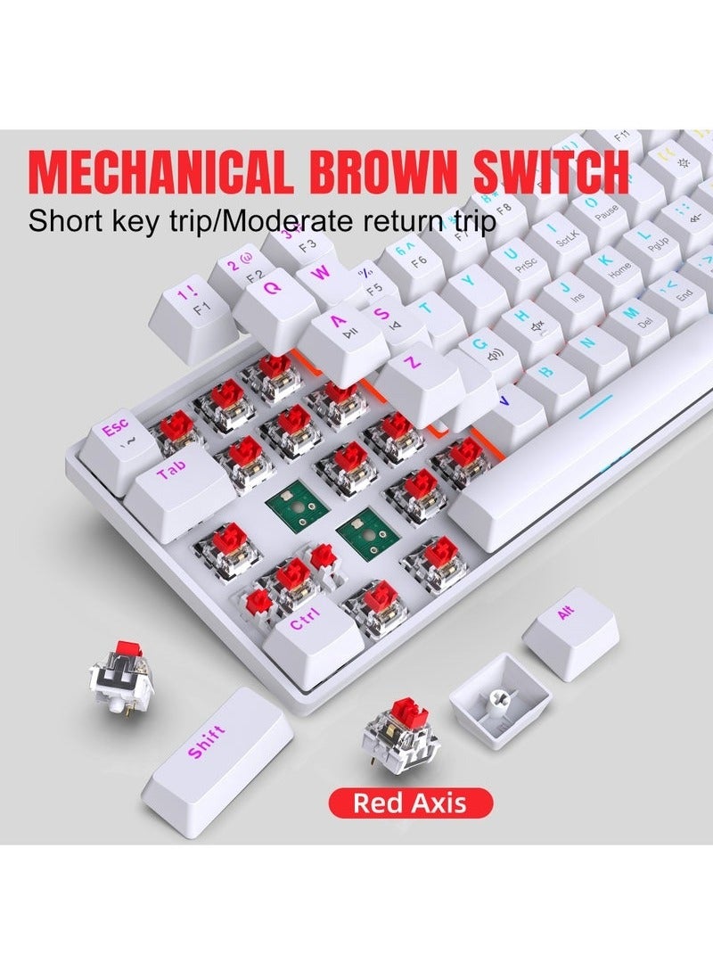 LCYLJGY 60% Wired Mechanical Gaming Keyboard 61keys RGB Backlit Ultra-Compact Mini Keyboard Mini Compact Keyboard for PC/Mac Gamer Typist Easy Carry on Trip Red Switch - Image 2