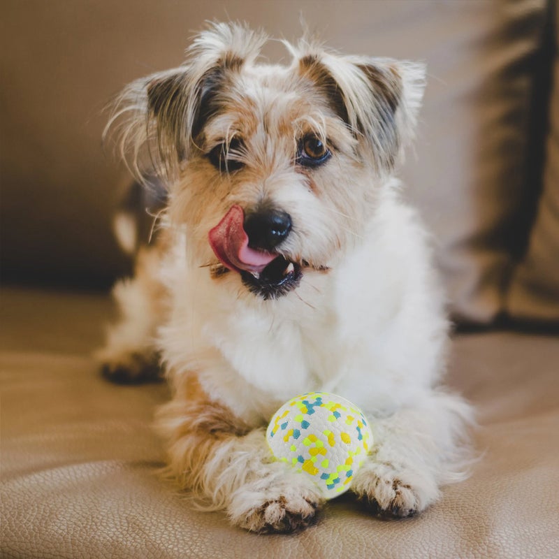 1pc Pet Toy Training Dog Elastic Teeth Cleaning Training Plaything - Image 3