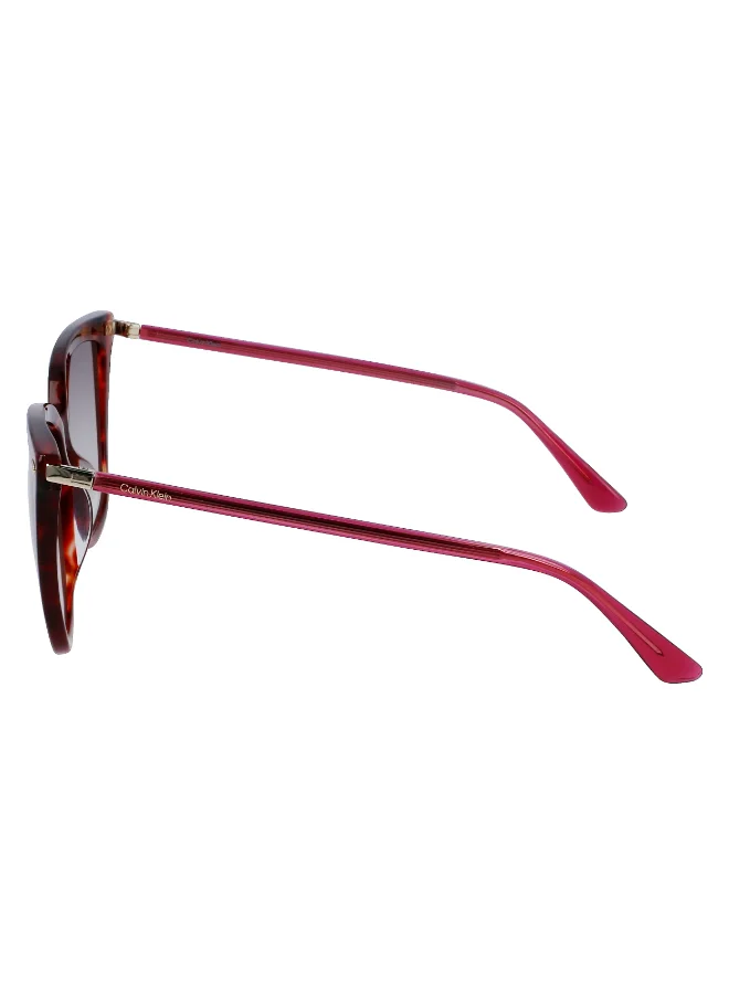 CALVIN KLEIN FULL RIM ACETATE CALVIN KLEIN SUN CK22532S