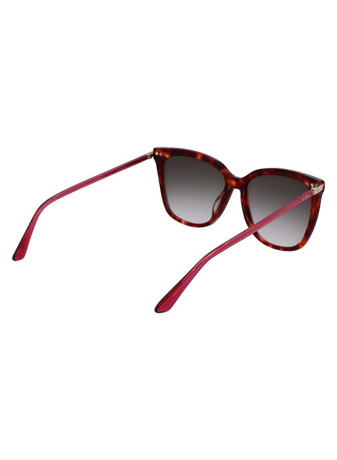 CALVIN KLEIN FULL RIM ACETATE CALVIN KLEIN SUN CK22532S - Image 5