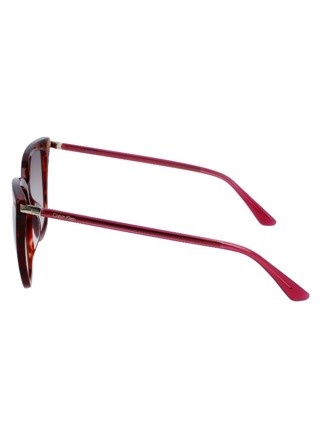 CALVIN KLEIN FULL RIM ACETATE CALVIN KLEIN SUN CK22532S - Image 2