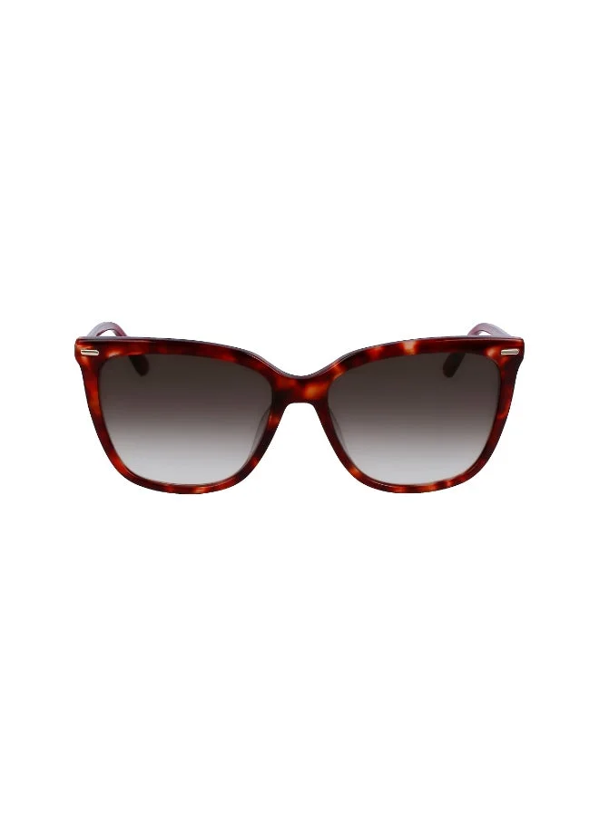 كالفن كلاين FULL RIM ACETATE CALVIN KLEIN SUN CK22532S