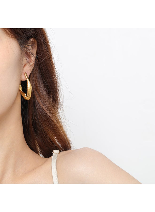 Fashionable And Elegant Earrings For Women, Stainless Steel, Light Luxury, High-End Personality, Versatile Earrings - Image 3