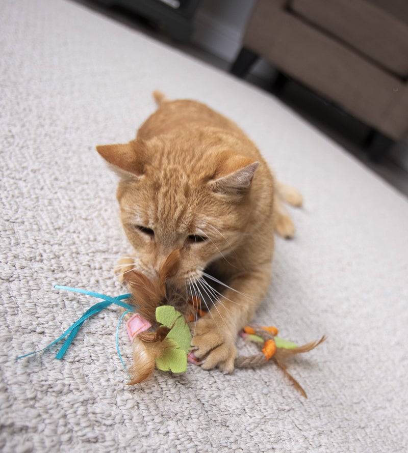 SmartyKat Dream Dangler 2-in-1 Hanging Feather Cat Toy - Multi Color, One Size - Image 4