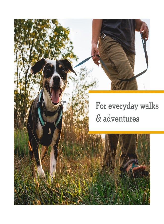 Ruffwear Hi & Light Harness Basalt Grey M - Image 3