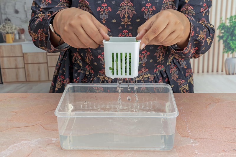 Entisia Fridge Organizer Storage Box with 6 Compartment - Plastic Storage Box for Vegetables, Fruits, Herbs & Meal Prep - Ideal for Home & Kitchen, Office & BPA-Free Food Storage Organizer (Pack of 1) - Image 4