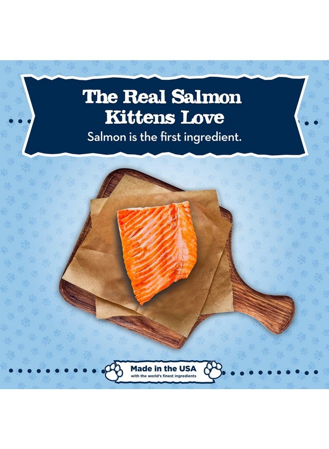 بلو بافلو طعام بلو بافالو بيبي بلو الطبيعي الرطب الخالي من الحبوب للقطط الصغيرة، تركيبة نمو صحية مع حمض الدوكوساهيكسانويك، باتيه سمك السلمون عالي البروتين، علبة 3 أونصة - Image 3