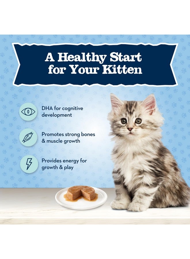 بلو بافلو طعام بلو بافالو بيبي بلو الطبيعي الرطب الخالي من الحبوب للقطط الصغيرة، تركيبة نمو صحية مع حمض الدوكوساهيكسانويك، باتيه سمك السلمون عالي البروتين، علبة 3 أونصة - Image 4