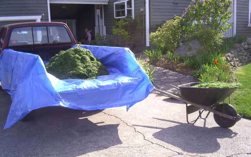 Dry Top 12' x 16' Foremost Tarp 81216 Blue Cut Size 5-Mil Tarp - Image 2