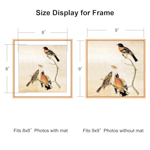 BKABOT 9x9 Picture Frame, Gold Metal Square Photo Frames with HD Glass, Fits 8x8 with Mat or 9 x 9 without Mat, Display for Wall and Table, 1 Pack - Image 2