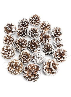 20PCS Large Pine Cones with Silver String for Home Decor Natural White Pine Cone for Crafts Christmas Trees Decoration Ornaments Pinecones