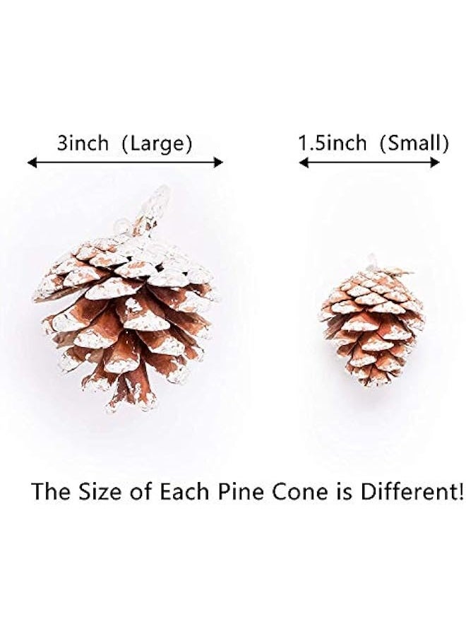 Generic - 20PCS Large Pine Cones with Silver String for Home Decor Natural White Pine Cone for Crafts Christmas Trees Decoration Ornaments Pinecones - Image 1