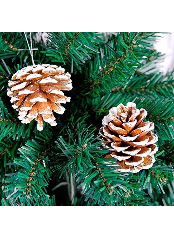 Generic - 20PCS Large Pine Cones with Silver String for Home Decor Natural White Pine Cone for Crafts Christmas Trees Decoration Ornaments Pinecones - Image 1