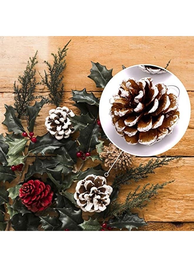 Generic - 20PCS Large Pine Cones with Silver String for Home Decor Natural White Pine Cone for Crafts Christmas Trees Decoration Ornaments Pinecones - Image 1