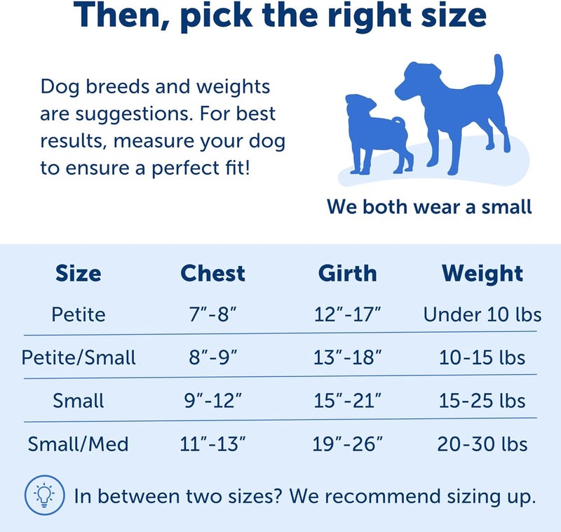 PetSafe Easy Walk No Pull Dog Harness - Deep Purple/Black, Small/Medium - Image 5