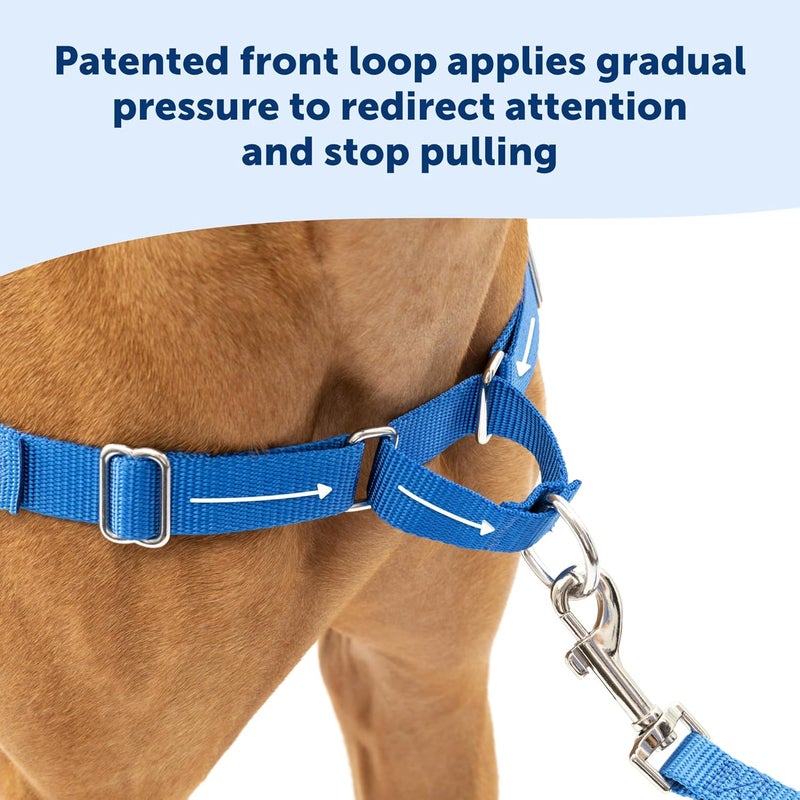PetSafe Easy Walk No Pull Dog Harness - Deep Purple/Black, Small/Medium - Image 3