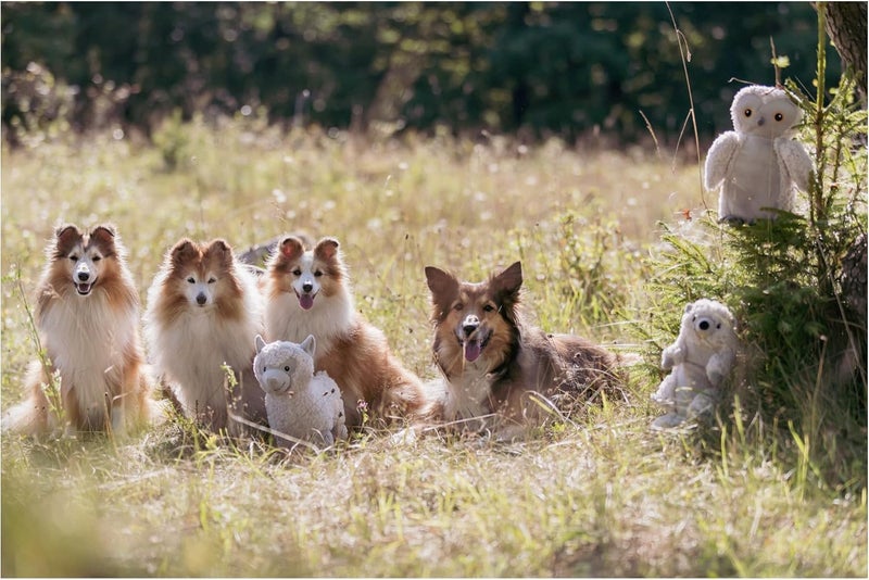 TRIXIE Be Eco Emily The Owl Plush Dog Toy for All Dogs - Image 5