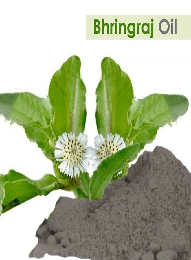 Salvia زيت البهرينجراج (Eclipta alba) 100% نقي وطبيعي - غير مخفف وغير مقطع - زيت بكر مضغوط على البارد من الدرجة الممتازة للاستخدام في العلاج بالروائح، العناية بالبشرة والشعر - درجة علاجية - 30 مل من سالفيا - Image 2