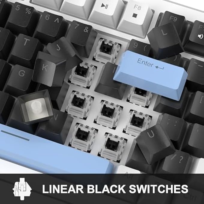 rayihni 75% MECHANICAL GAMING KEYBOARD - COMPACT BLUE BACKLIT WITH BLACK SWITCHES, EVA FOAM, KNOB CONTROL, STAR75 PORTABLE NKRO FOR PC - BLACK & BLUE - Image 3